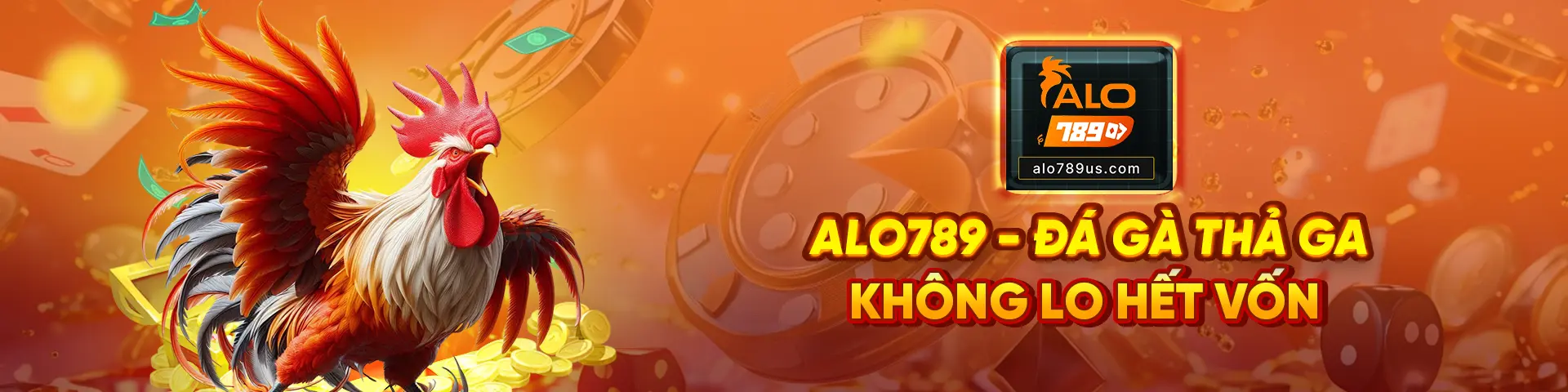 Banner ALo789