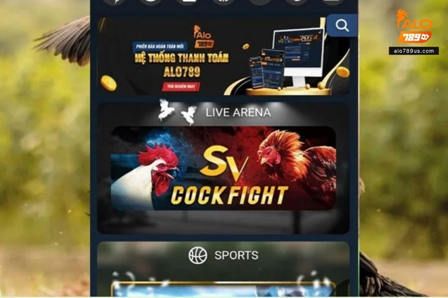 Nhà cái cá cược với nhiều ưu điểm