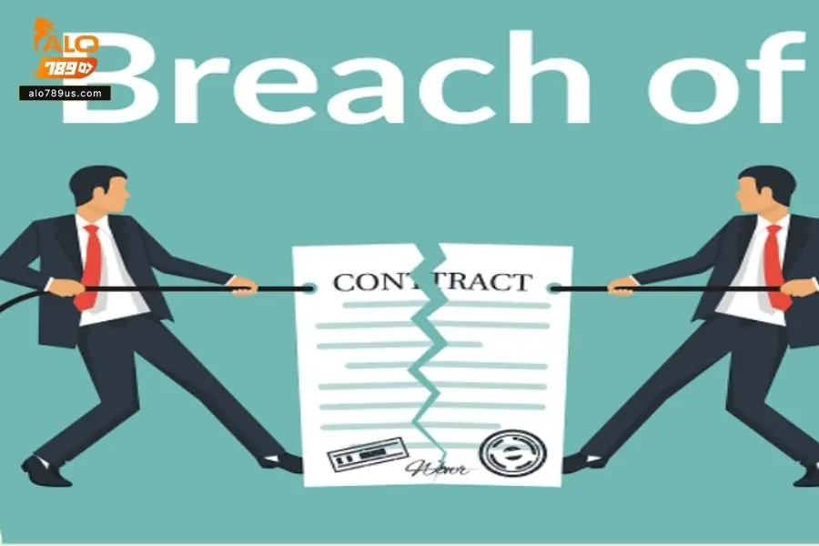 Nhà cái không chịu trách nhiệm do lỗi của người chơi