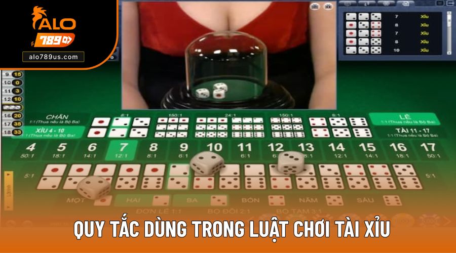 Quy tắc dùng trong luật chơi tài xỉu