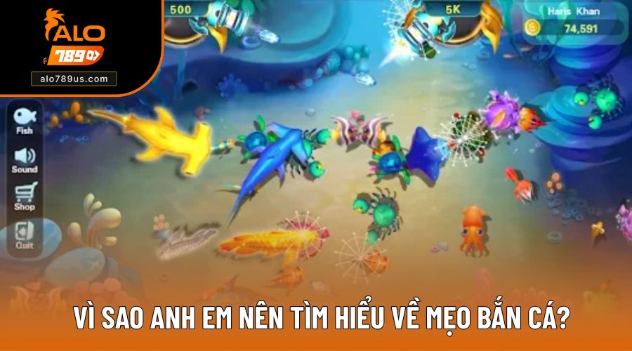 Vì sao bạn nên tìm hiểu về mẹo bắn cá?