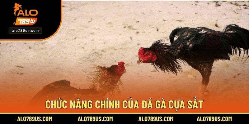 Chức năng chính của đá gà cựa sắt