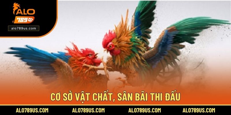 Cơ sở vật chất, sân bãi thi đấu.