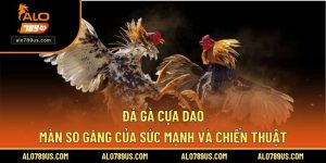 Đá Gà Cựa Dao