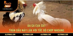 Đá Gà Cựa Sắt