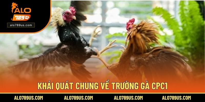 Khái quát chung về trường gà CPC1
