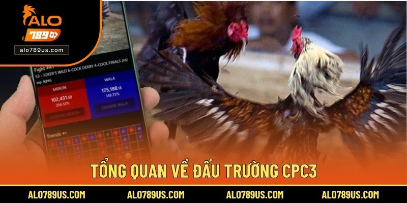 Tổng quan về đấu trường CPC3